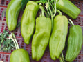 Cubanelle Sweet Pepper Seeds – Heirloom Italian Frying Pepper, Mild Yellow Green, 25 Seeds