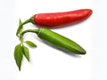 Serrano Tampiqueño Pepper Seeds – 25 Heirloom Hot Chili Seeds for Mexican Garden, Spicy Fresh Salsa & Hot Sauce, Compact Plant