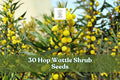 30 Hop Wattle Seeds for Planting - Acacia stricta Ornamental Shrub for Gardens & Landscaping