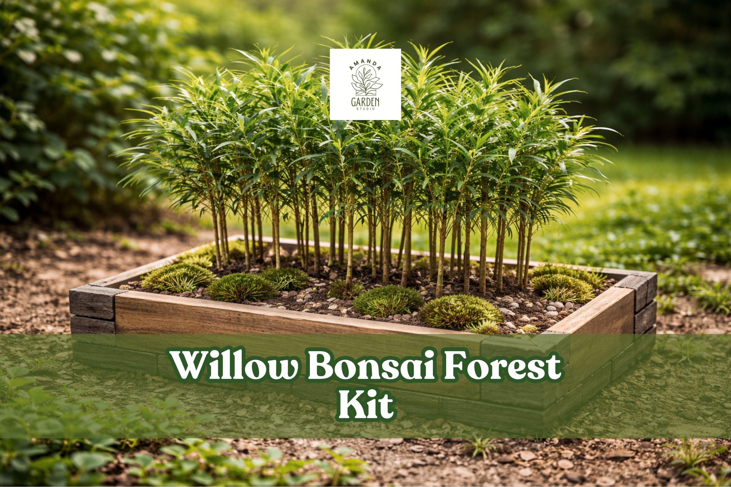 Willow Bonsai Forest Kit – 15 Cuttings in 8-Inch Pot, Deciduous Salix Species for Miniature Bonsai Display