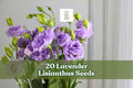 20 Lavender Lisianthus Seeds – Eustoma grandiflorum Flower for Garden Beds & Cut Flowers