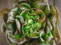 Bronze Mignonette Lettuce Seeds – Heirloom Non-GMO Butterhead, Red Green Leaves, Compact French Variety, 1000 Seeds