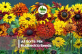 All Sorts Mix Rudbeckia Seeds – 200+ Warm-Toned, Pollinator-Friendly, Long-Blooming Perennial for Borders, Beds & Landscaping