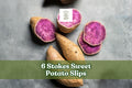 6 Stokes Sweet Potato Slips – Purple-Fleshed Ipomoea batatas, Warm-Season Vegetable, Garden Bed or Raised Bed Plant