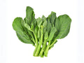 Champion Collard Seeds – 250 Heirloom Collard Greens for Southern Cooking, Cold Hardy Garden Vegetable, Heirloom Brassica oleracea