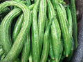 Snake Gourd Seeds – 10 Lagenaria Siceraria Heirloom Long Vine Vegetable Seeds for Trellis Gardening