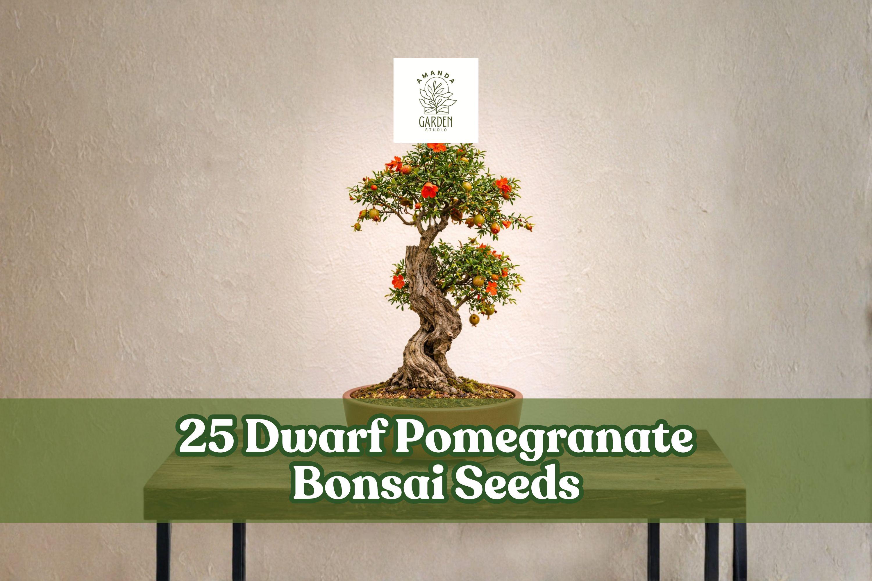 Dwarf Pomegranate Bonsai Seeds – Punica granatum – Fruit-bearing Miniature Tree for Bonsai & Container Gardening