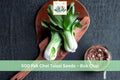 500 Pak Choi Taisai Seeds – Brassica rapa subsp. chinensis, Cool-Season Leafy Green for Garden Beds & Raised Beds