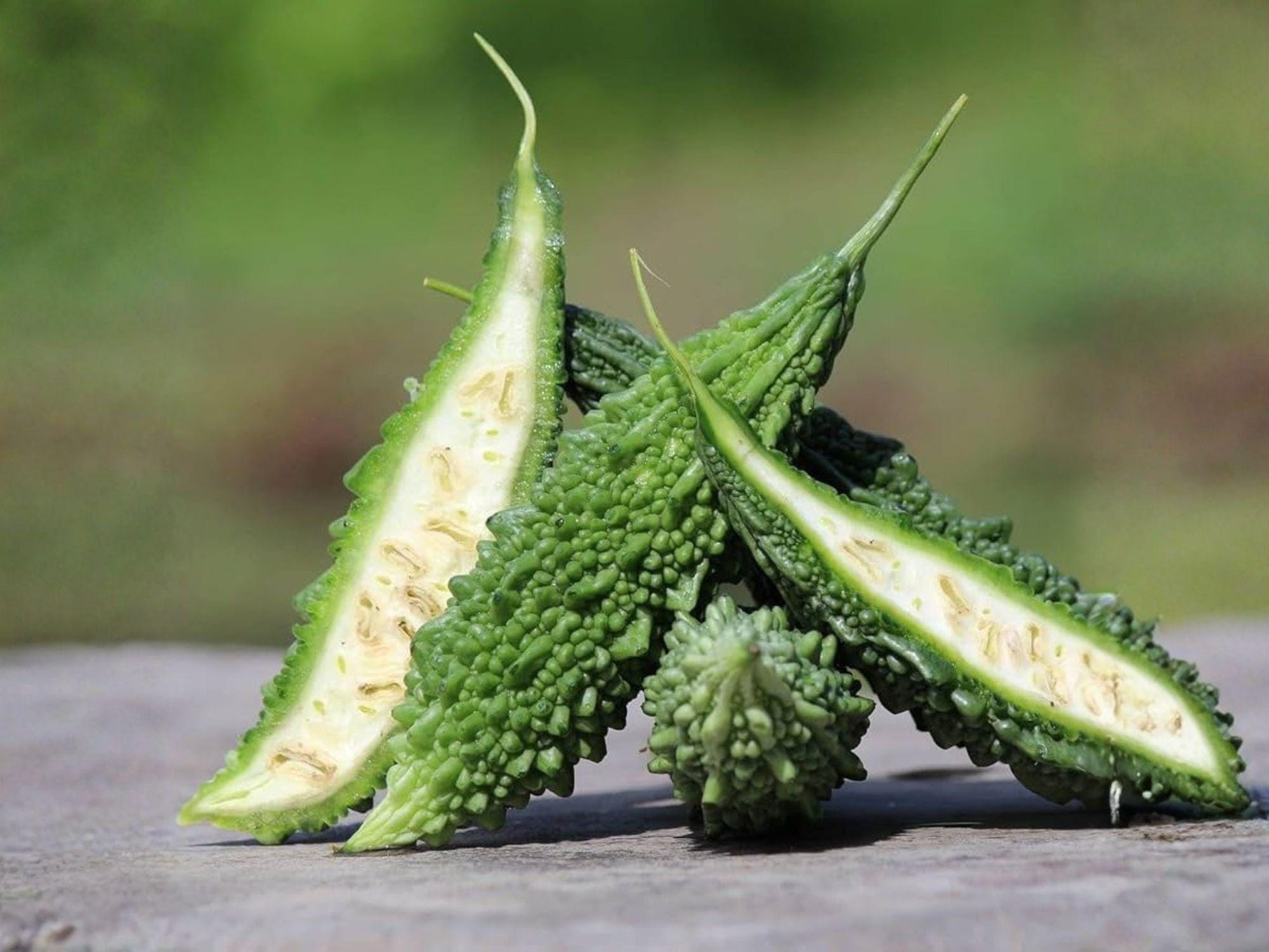 Futo Spindle Bitter Gourd Seeds – 5 Asian Bitter Melon Vegetable Seeds – Heirloom Climbing Vine for Asian Cuisine and Trellis Gardening