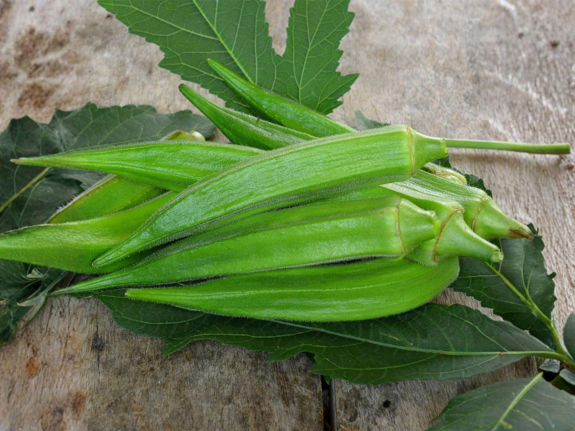 Clemson Spineless Okra Seeds – Heirloom Vegetable Garden Plant – Abelmoschus esculentus – Tender, Spineless Pods, High Yield