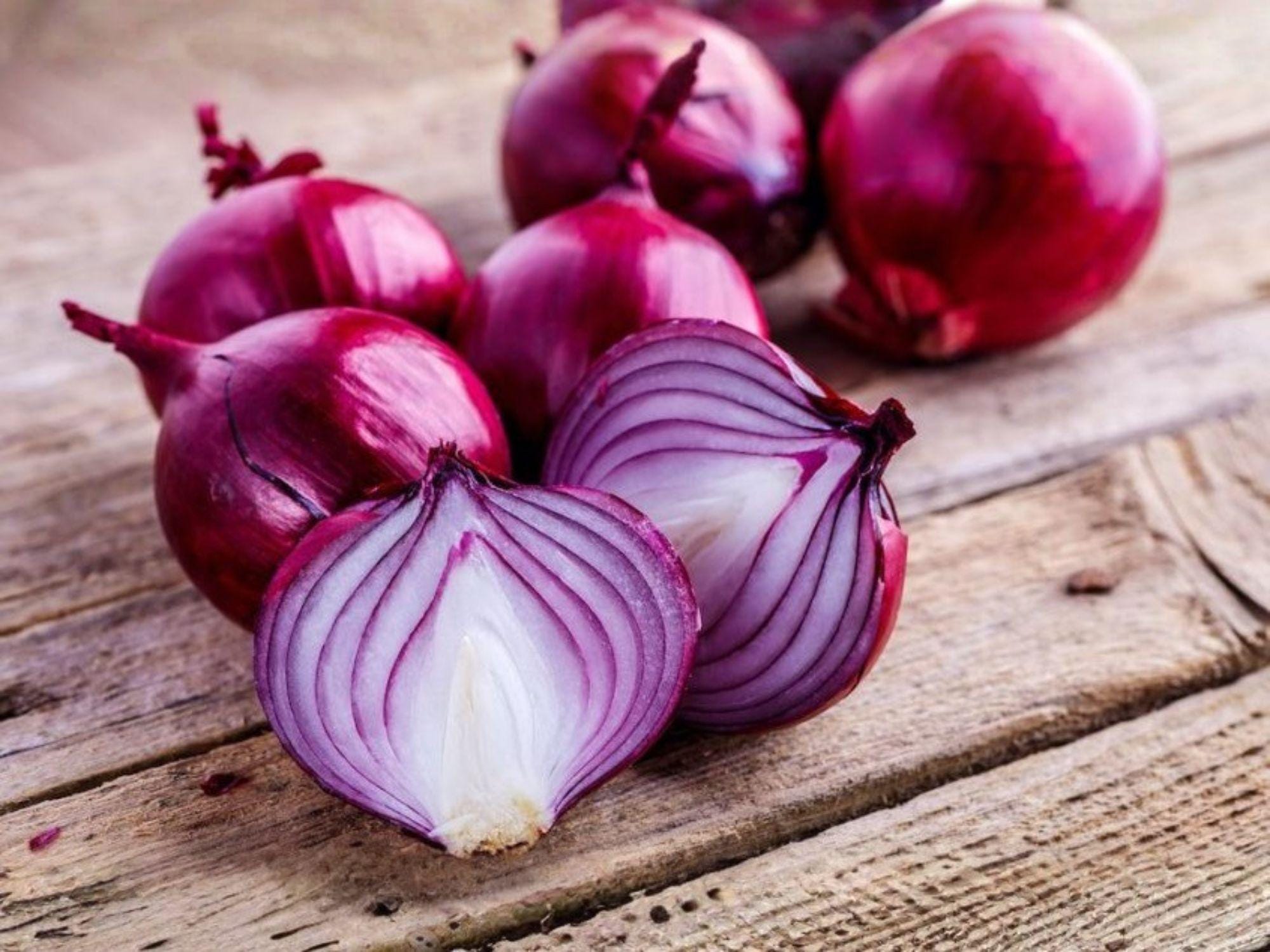 Red Burgundy Onion Seeds – Short Day Heirloom Vegetable for Southern Gardens, Vibrant Red Bulbs, Mild Sweet Flavor, Allium cepa