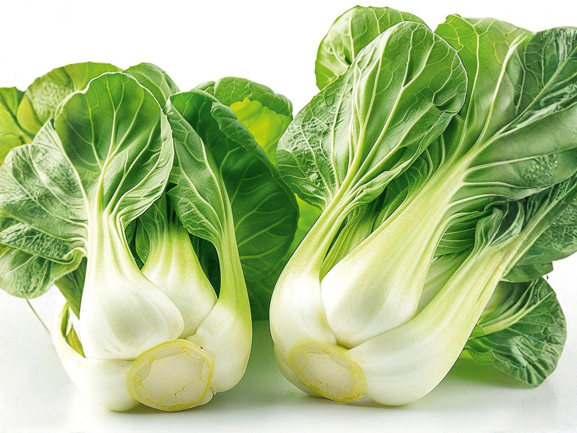White Stem Pak Choi Seeds – 500 Asian Greens for Stir-Fries & Salads – Brassica rapa var. chinensis