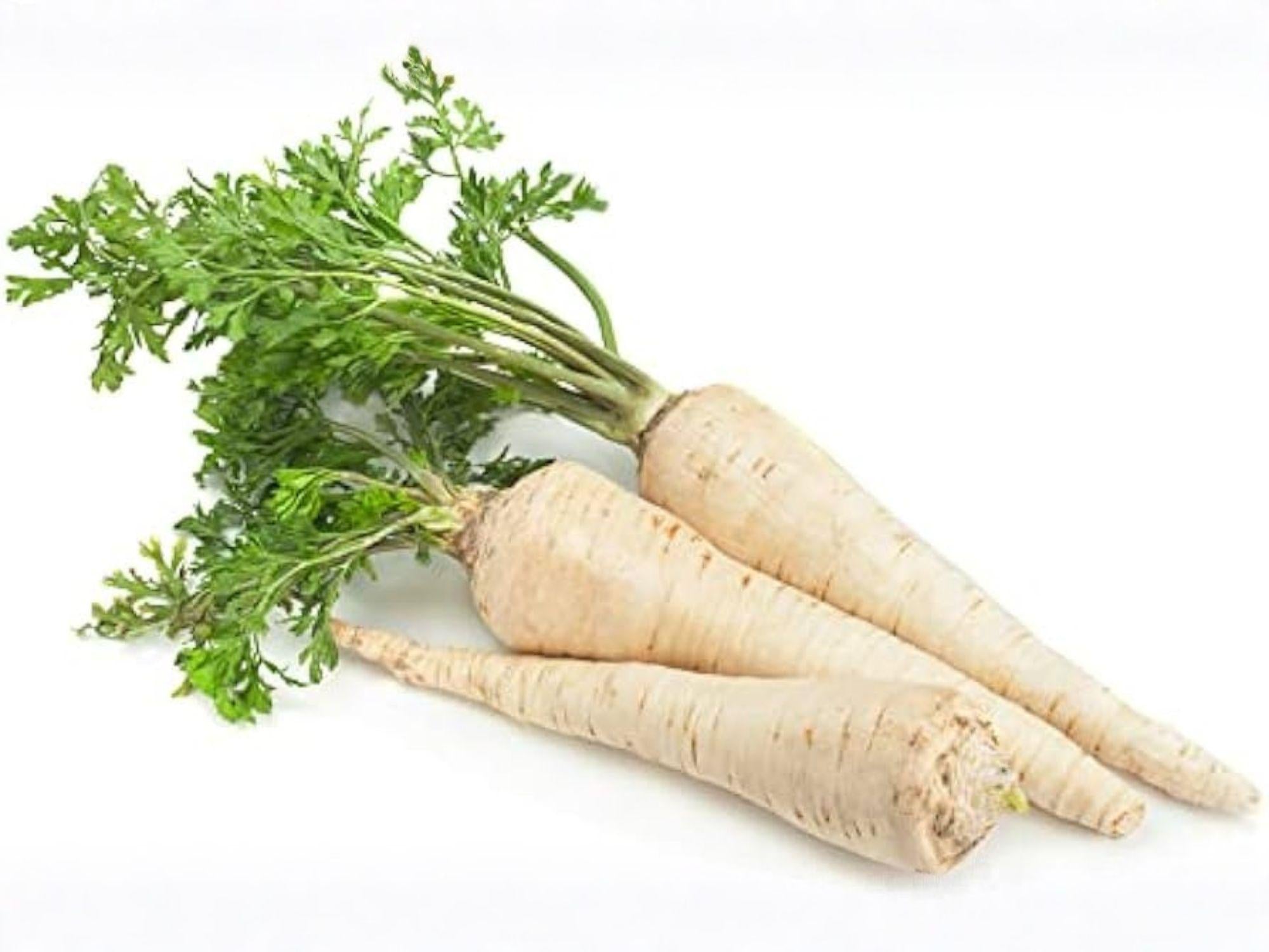 All American Parsnip Seeds – Heirloom Root Vegetable, White, Sweet, Cold-Tolerant, 100 Seeds