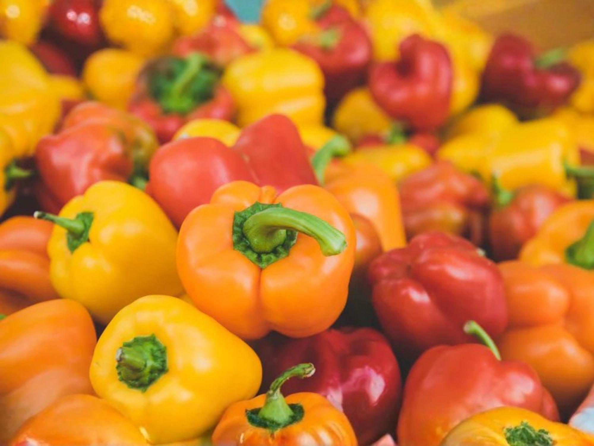 Yolo Wonder Bell Pepper Seeds – 25 Improved Sweet Green Bell Peppers for Slicing, Stuffing, Grilling, and Roasting