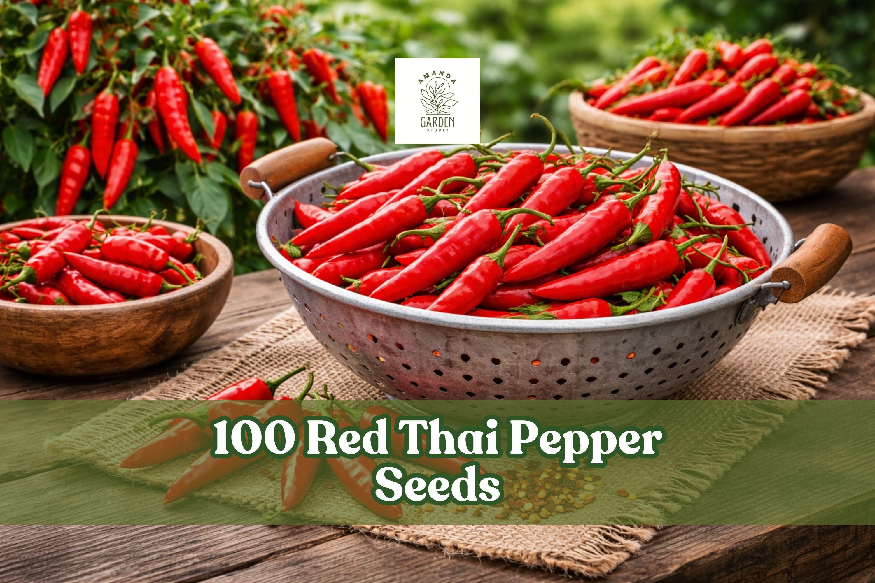 100 Red Thai Pepper Seeds – Hot Variety, Capsicum spp., Small Red Fruits, for Garden, Container, Indoor & Outdoor Growing