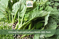 Chinese Broccoli Kailaan Seeds 300 Pack | Brassica oleracea var. alboglabra | Leafy Vegetable for Garden, Raised Beds