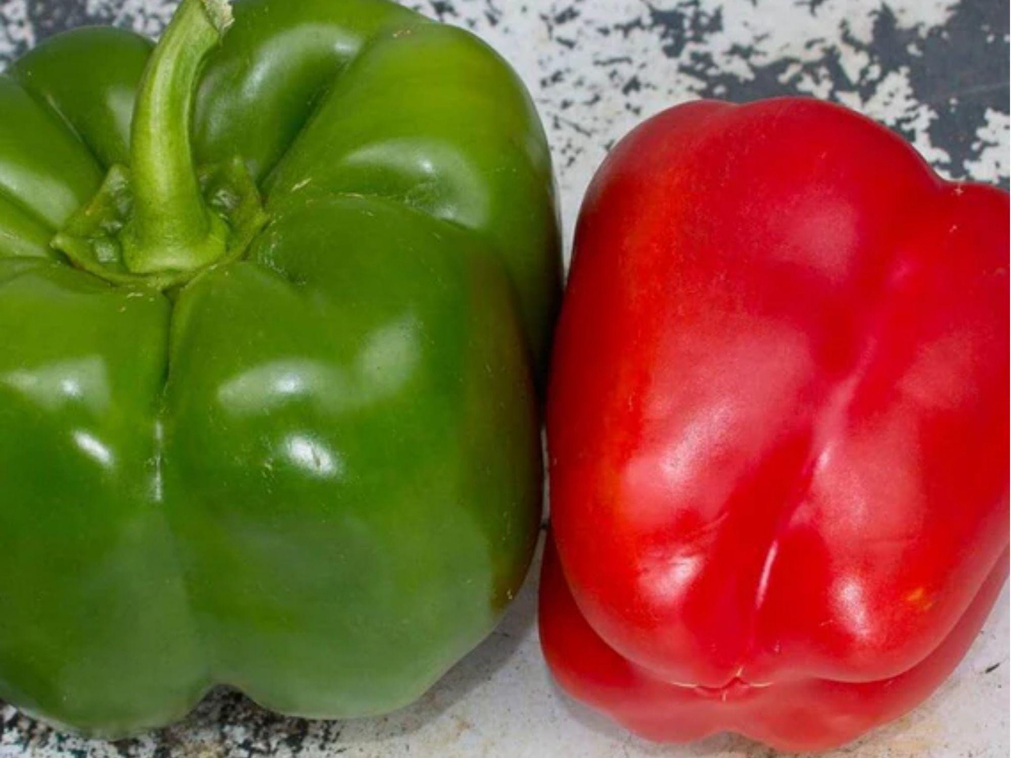 California Wonder 300 Sweet Bell Pepper Seeds – Non-GMO, Blocky, Thick-Walled, Green to Red, Capsicum annuum, Garden & Container Growing