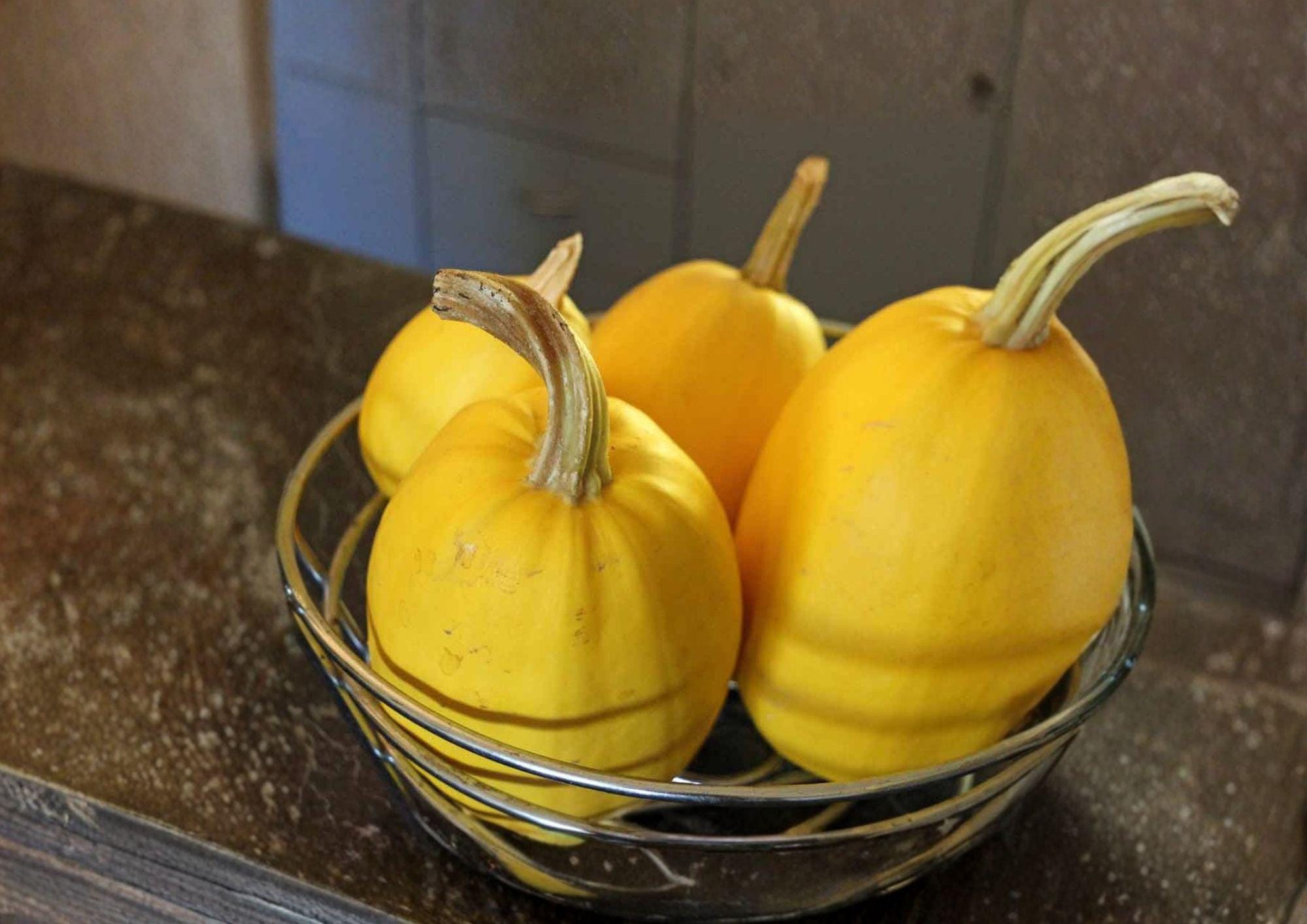 Heirloom Spaghetti Squash Seeds – 10 Vegetable Seeds for Pasta-Like Flesh, Warm Season Garden Crop, Oval Yellow Fruit, Veggie Gardening