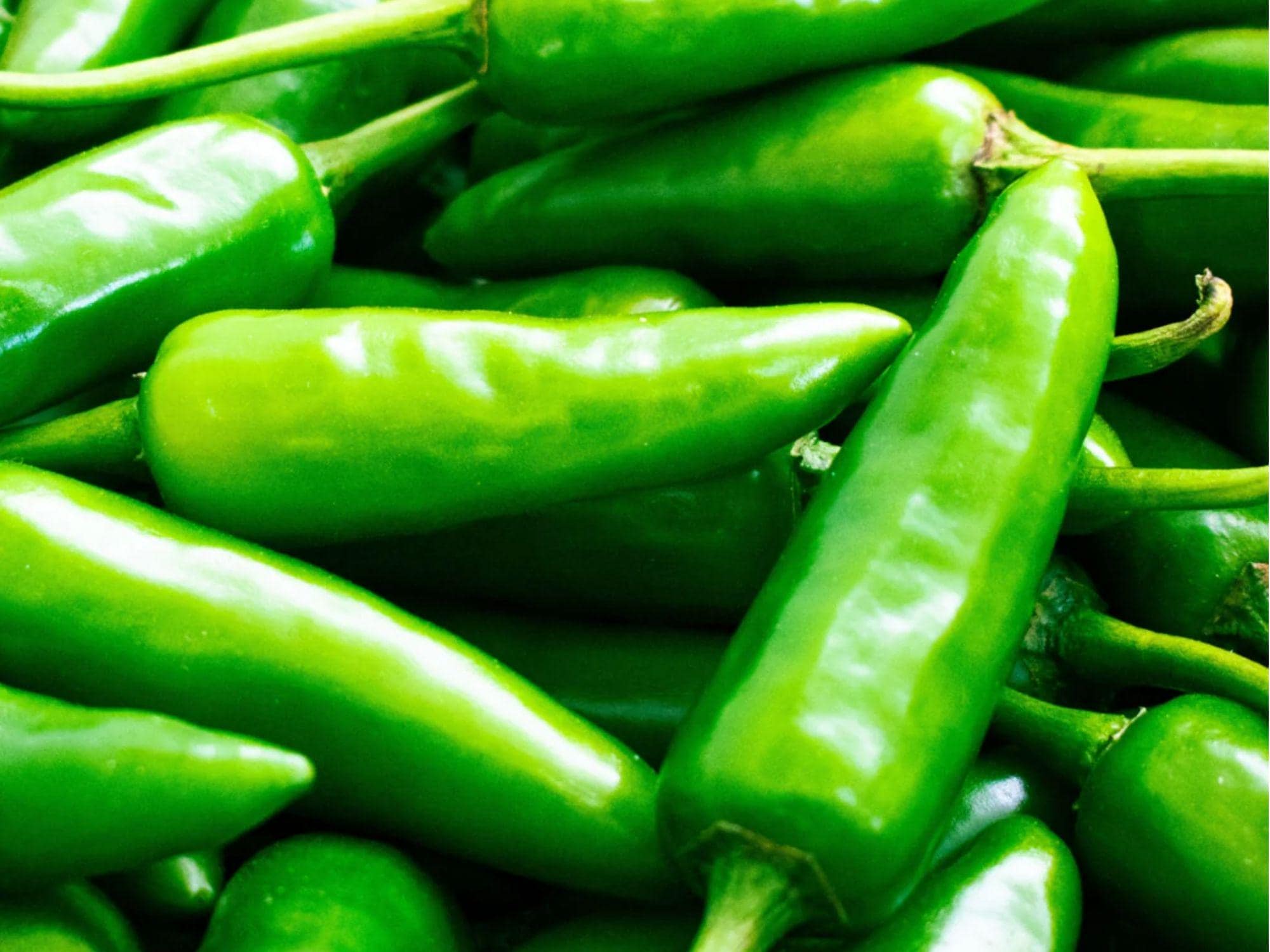 Anaheim Chili Pepper Seeds – 25 Non-GMO Capsicum annuum for Roasting, Stuffing, and Cooking