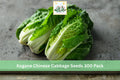 Kogane Chinese Cabbage Seeds 300 Pack – Brassica rapa subsp. pekinensis, Napa Leafy Vegetable for Garden, Cool Season Crop