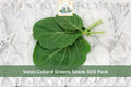 Vates Collard Greens Seeds 500 Pack - Brassica oleracea var. viridis, Leafy Vegetable, Dark Green, Compact, Cool Season