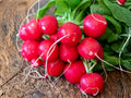 Heirloom Cherry Belle Radish Seeds – Fast Growing Vegetable, Crisp Red Radishes, Round, 100 Seeds, Garden, Salad, Container Planting