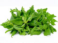 New Zealand Spinach Seeds – Heat Tolerant Tetragonia tetragonioides for Summer Gardens, 100 Seeds