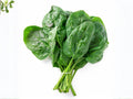 Viroflay Spinach Seeds – Heirloom French Large Leaf Vegetable, Tender Dark Green Leaves, Cool Weather Crop, 100 Seeds