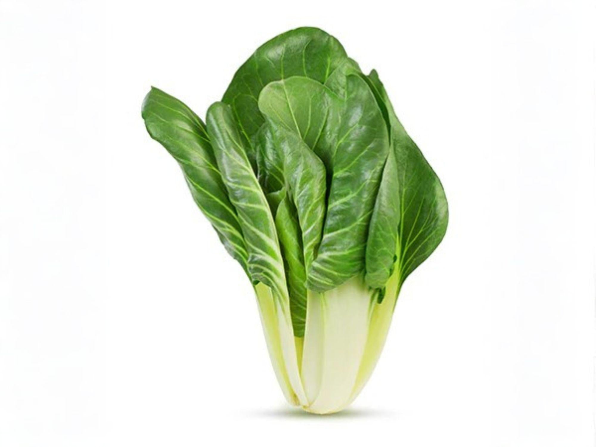 Fordhook Swiss Chard Seeds – Heirloom White Stem Vegetable Seeds, 50 Count, Leafy Green, Cool-Season, Edible Greens, Beta vulgaris