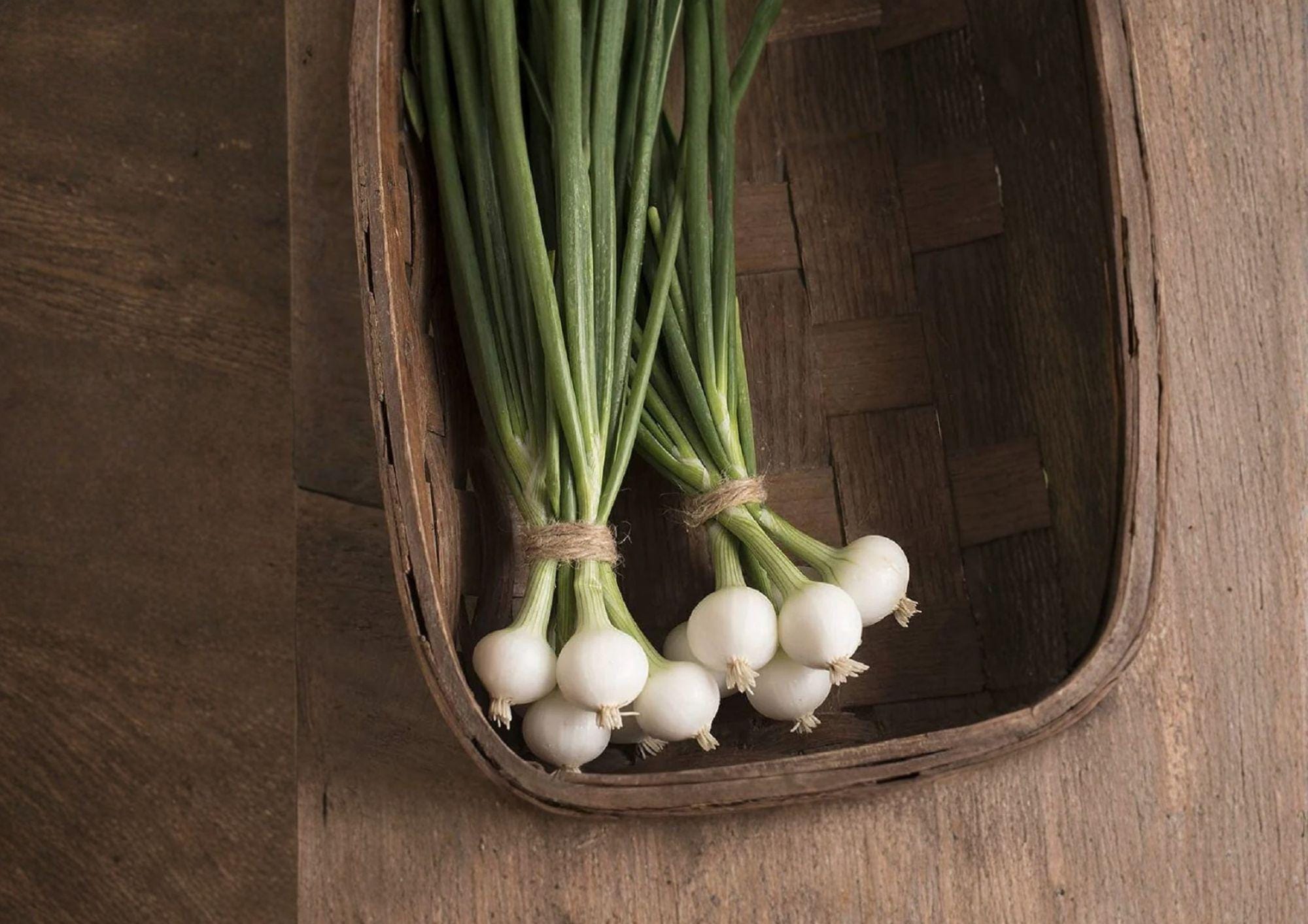 Blanco Duro Onion Seeds – Heirloom White Storage Onions for Garden Growing, Long-Day, Fresh & Cooking