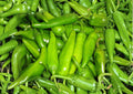Lumbre Hot Pepper Seeds – 25 Heirloom Red Chili Seeds for Spicy Hot Sauce, Salsas, Drying, Garden & Container Growing