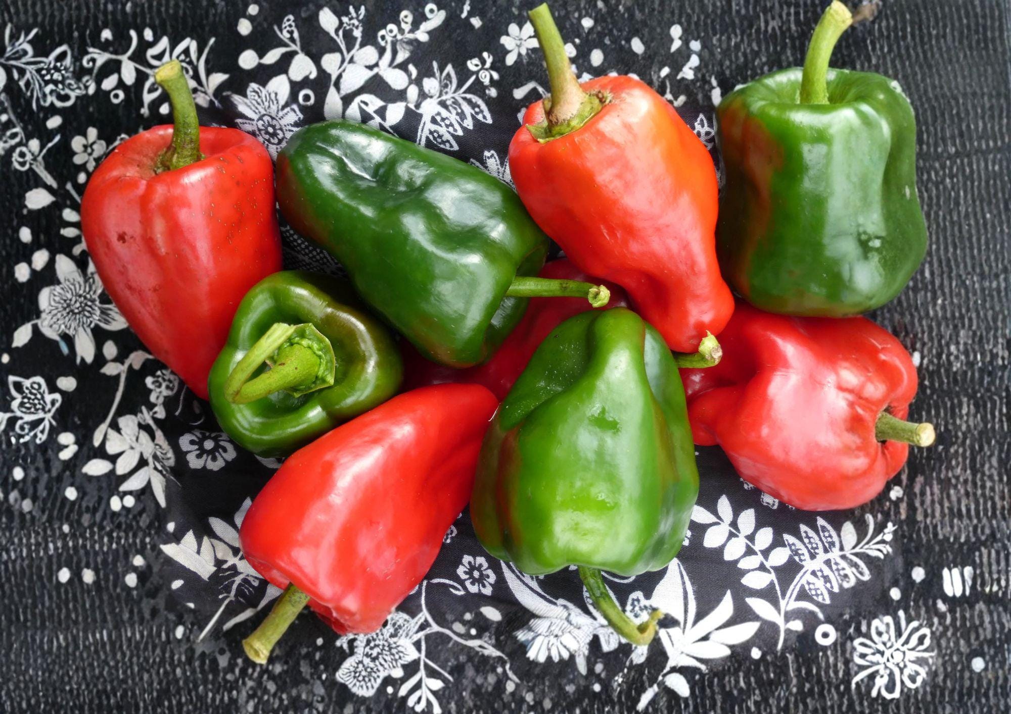 Ancho Poblano Pepper Seeds – Heirloom Mexican Chili Variety for Garden Growing, 25 Seeds