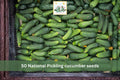 National Pickling Cucumber Seeds – Heirloom, Vining, Pickling Variety, Cucumis sativus, 50 Seeds for Garden & Raised Beds