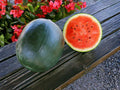 Sugar Baby Watermelon Seeds – Heirloom Icebox Variety, Compact Fruit, Warm-Season Vine, 10 Seeds