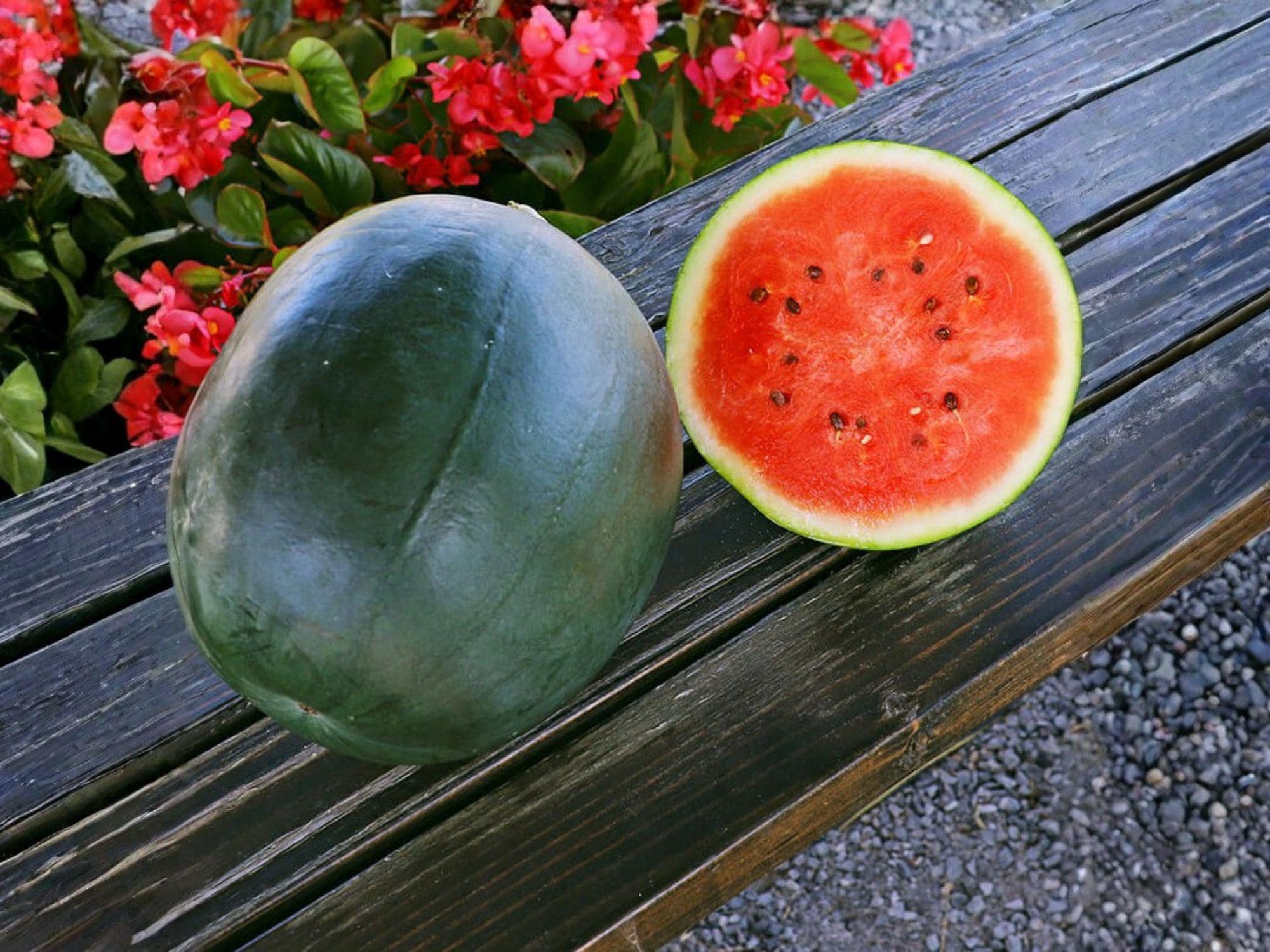 Sugar Baby Watermelon Seeds – Heirloom Icebox Variety, Compact Fruit, Warm-Season Vine, 10 Seeds