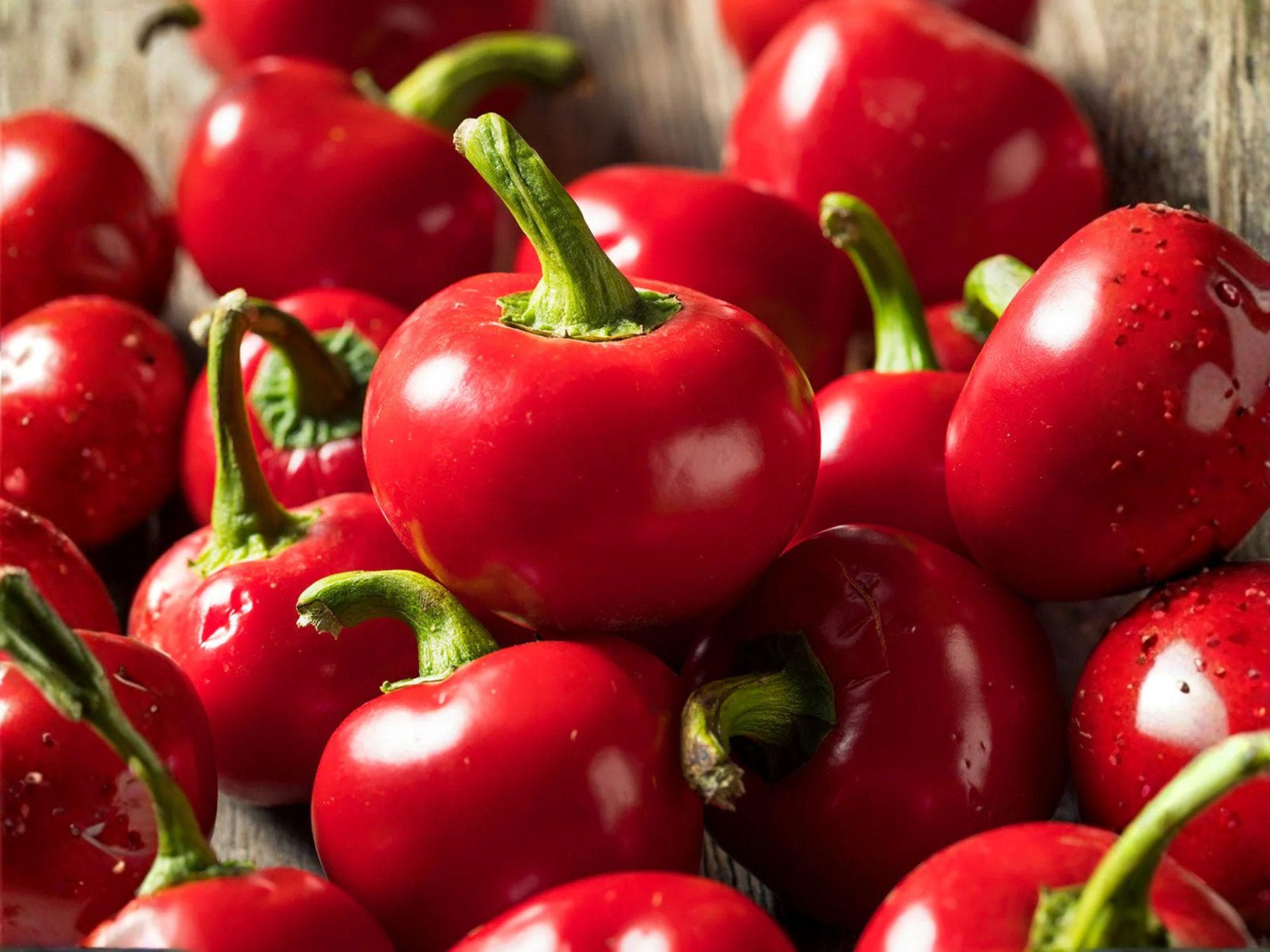 Large Hot Cherry Pepper Seeds – 25 Spicy Garden Seeds for Stuffing, Pickling, Slicing – Capsicum annuum