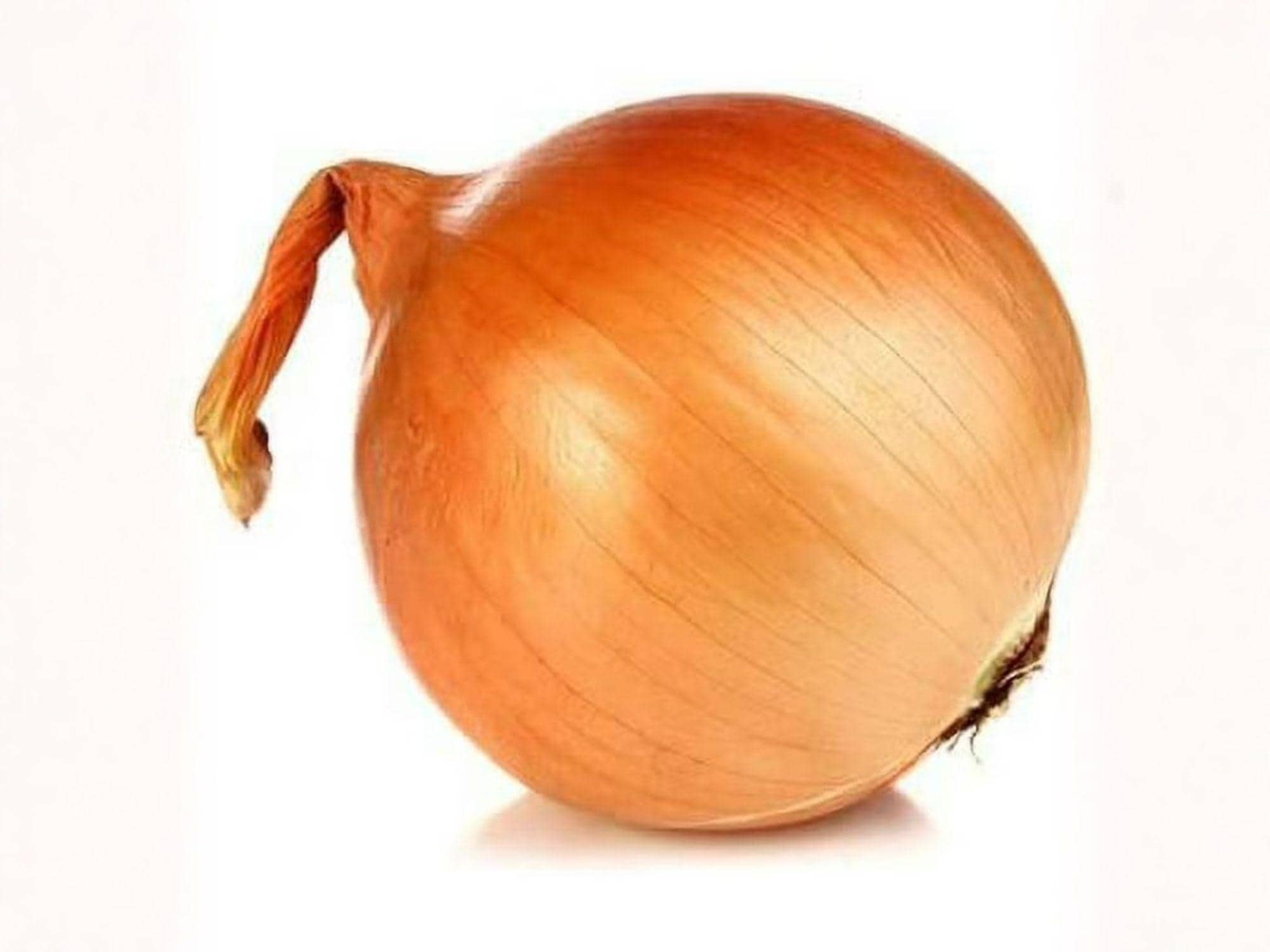 Texas Grano 502 Onion Seeds – 50 Sweet Yellow Short-Day Garden Bulb Seeds for Slicing & Cooking