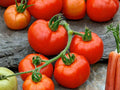 Rutgers Tomato Seeds – Heirloom Red Slicing Garden Variety – Organic, Heirloom, Classic Flavor, 30 Seeds