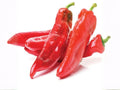 Hatch Giuzeppi Hot Pepper Seeds – 25 Heirloom Southwest Chili Seeds for Roasting, Stuffing, Grilling, and Sauces