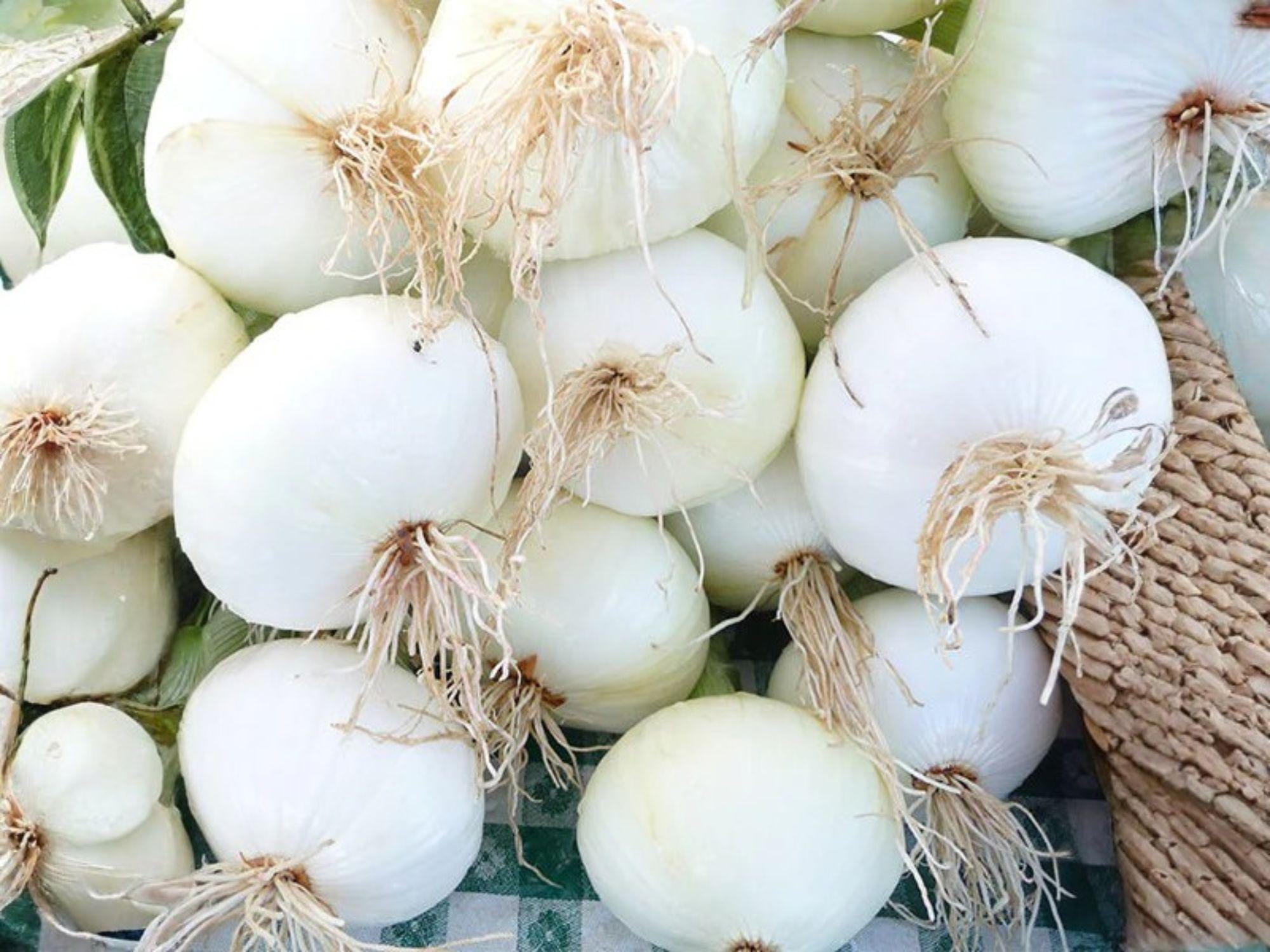 Walla Walla Sweet Onion Seeds – Heirloom Large Mild Yellow Garden Vegetable, Long-Day Bulb, 50 Count