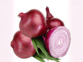 Red Grano Onion Seeds – Heirloom Short Day Vegetable Garden Variety for Warm Climates, Red Bulb, 50 Seeds