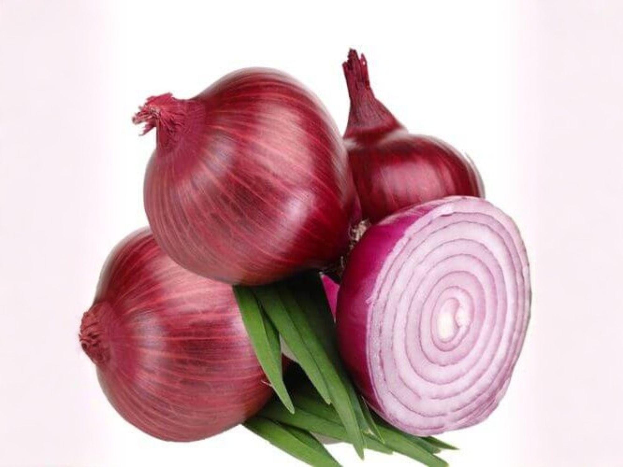 Red Grano Onion Seeds – Heirloom Short Day Vegetable Garden Variety for Warm Climates, Red Bulb, 50 Seeds