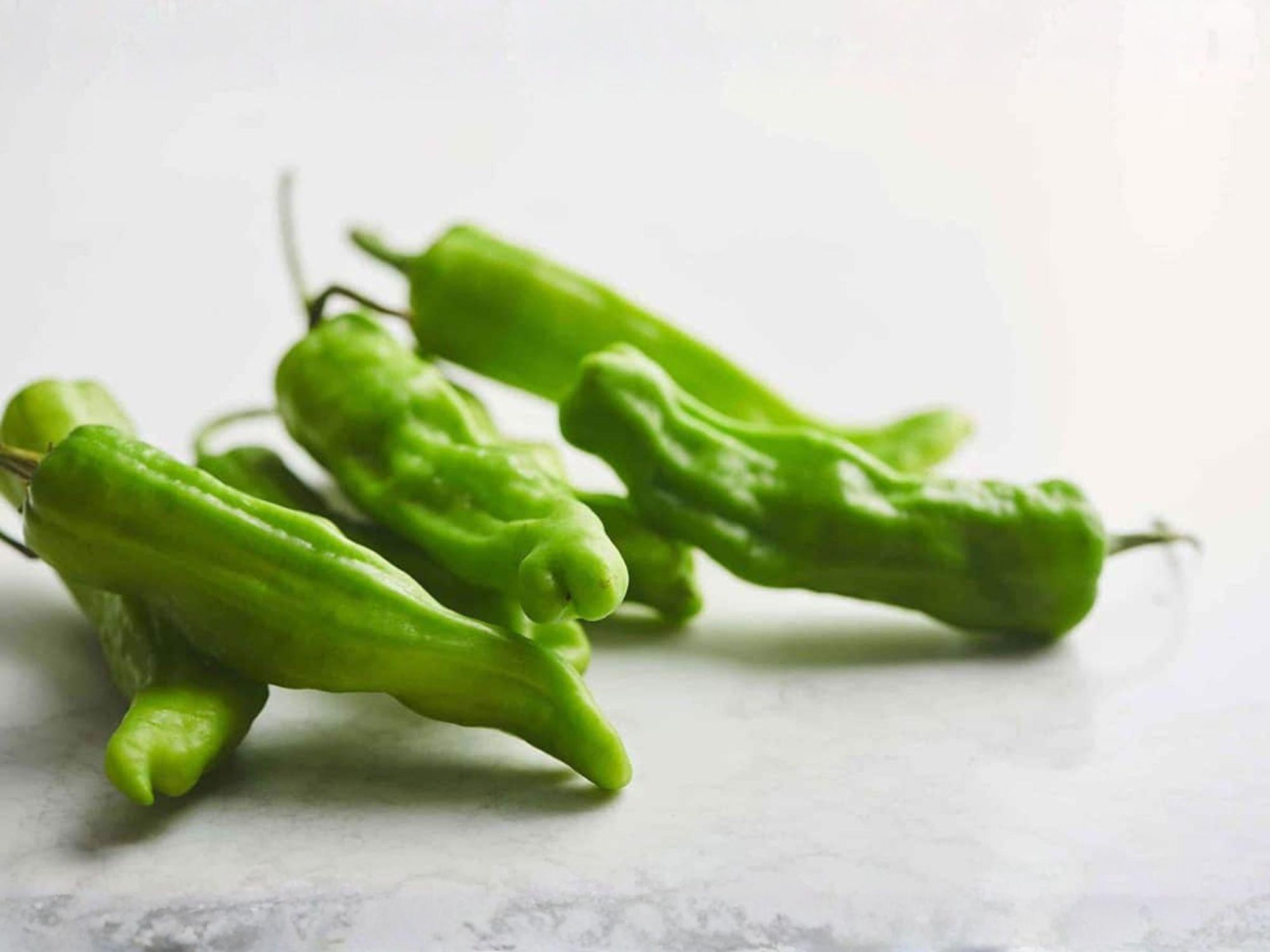 Heirloom Shishito Pepper Seeds – Japanese Frying Pepper, Mild Heat, High Yield Garden Plant, Asian Hot Pepper, 25 Seeds