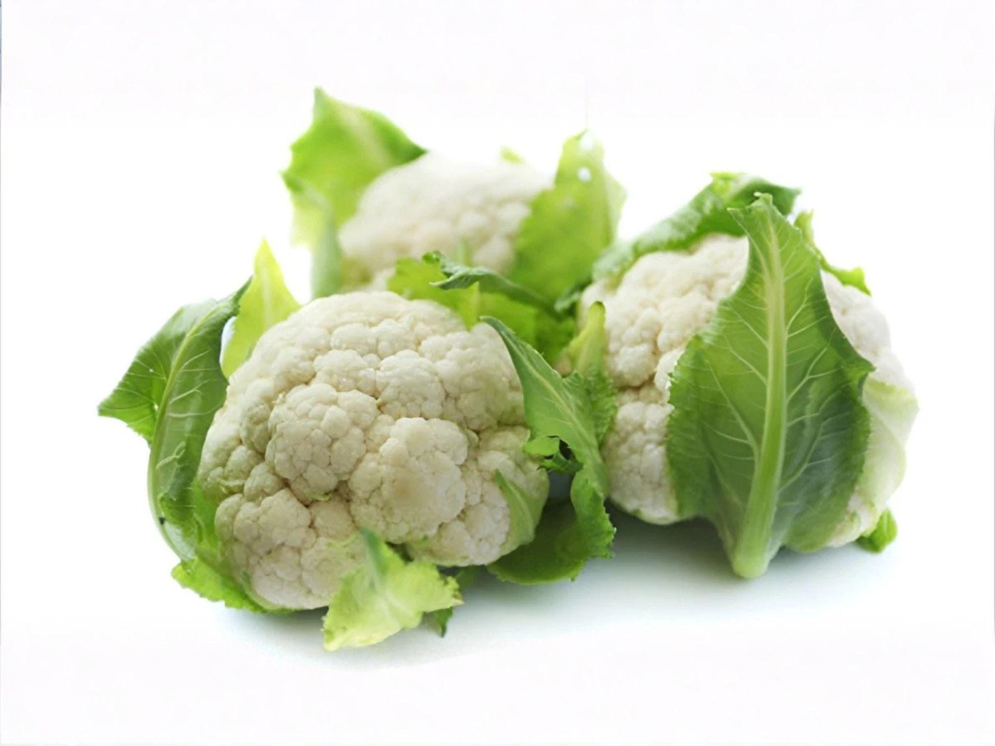 Self Blanching Cauliflower Seeds – 500 Heirloom White Cold Hardy Vegetable for Fall Garden Crop