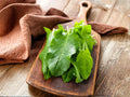 Heirloom French Sorrel Seeds – Large Leaf Perennial Herb for Culinary Greens, Spring Harvest, Lemon Flavor, 100 Seeds