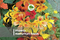 50 Phoenix Nasturtium Seeds – Tropaeolum majus, Fringed Orange Red Yellow Blooms, Edible Flowers, Pollinator Garden, Annual