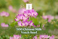 500 Chinese Milk Vetch Seeds – Astragalus sinicus Cover Crop, Pink-Purple Flowers, Garden & Field Planting