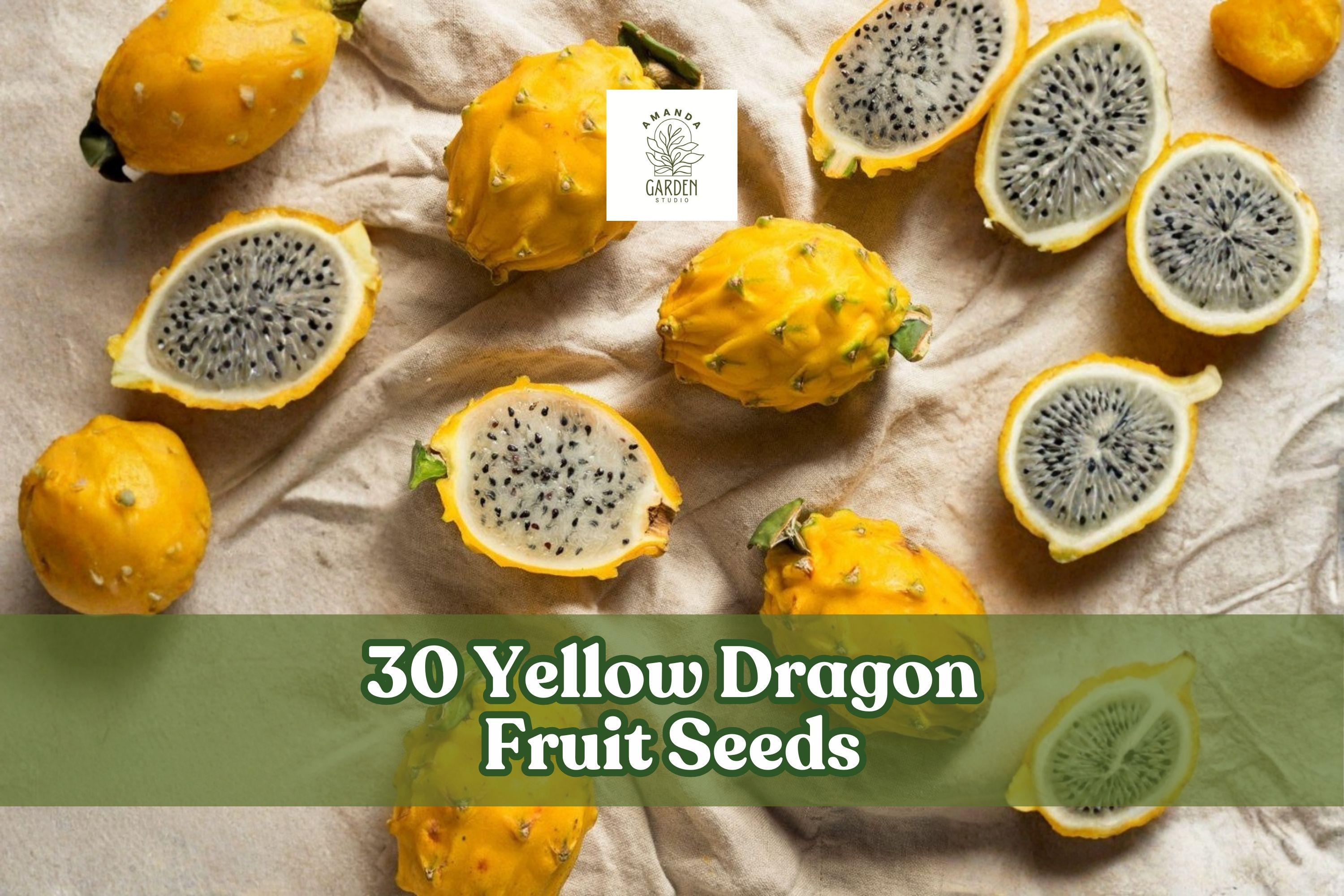 30 Yellow Dragon Fruit Seeds – Selenicereus megalanthus Tropical Climbing Cactus for Exotic Fruit Garden