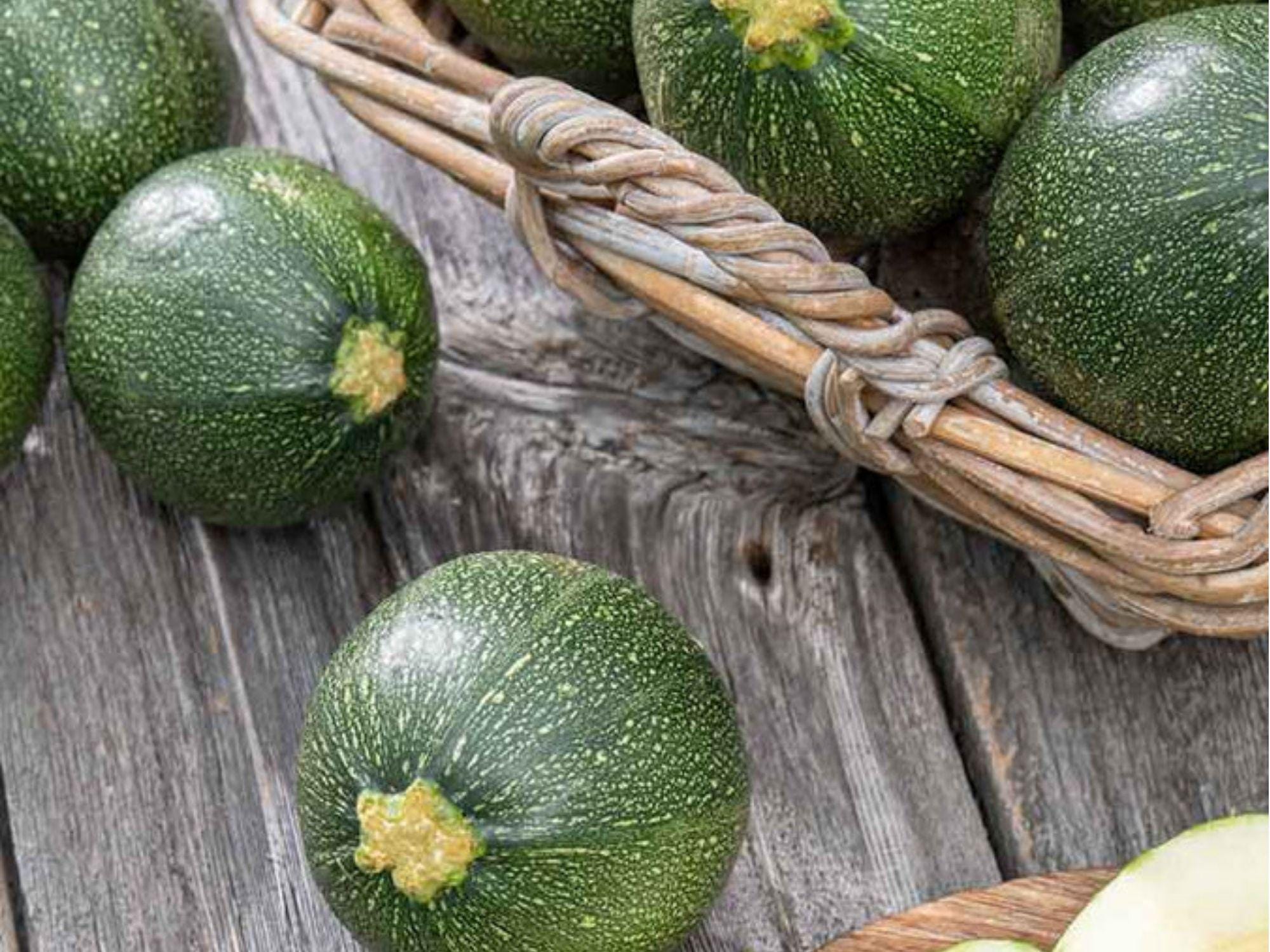 Round Zucchini Seeds – 10 Non-GMO, Bush-Type Summer Vegetable, Cucurbita pepo