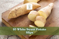White Sweet Potato Slips – Cream Flesh Variety, Ipomoea batatas, 10 Live Plants for Outdoor Garden, Raised Beds, Full Sun